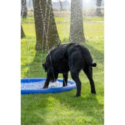 Coolpets Splash Pool Sproeier -Beeztees Winkel 1002988 4