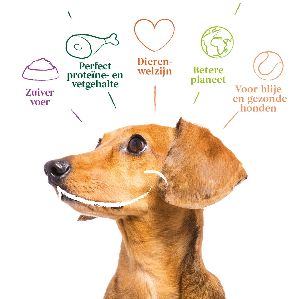 4x Yarrah Bio Hondenvoer Multipack Paté Graanvrij Kip - Kalkoen 6 4x Yarrah Bio Hondenvoer Multipack Paté Graanvrij Kip - Kalkoen - Afbeelding 4