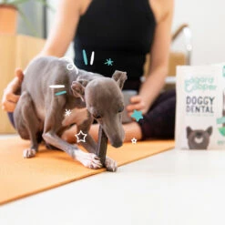 4x Edgard & Cooper Doggy Dental Sticks Aardbei - Frisse Muntolie 9 4x Edgard & Cooper Doggy Dental Sticks Aardbei - Frisse Muntolie -Beeztees Winkel 1004980 4