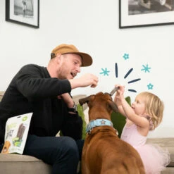 4x Edgard & Cooper Doggy Dental Sticks Appel - Eucalyptusolie -Beeztees Winkel 1004982 4