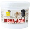 Ecostyle Vitaalcompleet Derma Actief 1 Ecostyle Vitaalcompleet Derma Actief -Beeztees Winkel 1006306