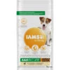 Iams Dog Adult Small - Medium Kip -Beeztees Winkel 1006474