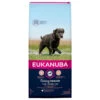 Eukanuba Dog Caring Senior Large -Beeztees Winkel 1006549