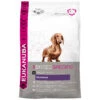 Eukanuba Dog Adult Dachshund - Teckel 1 Eukanuba Dog Adult Dachshund - Teckel -Beeztees Winkel 1006585