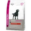 Eukanuba Dog Adult Labrador Retriever Kip 2 Eukanuba Dog Adult Labrador Retriever Kip -Beeztees Winkel 1006589