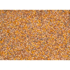 Beyers Basic Racing -Beeztees Winkel 1007106 2