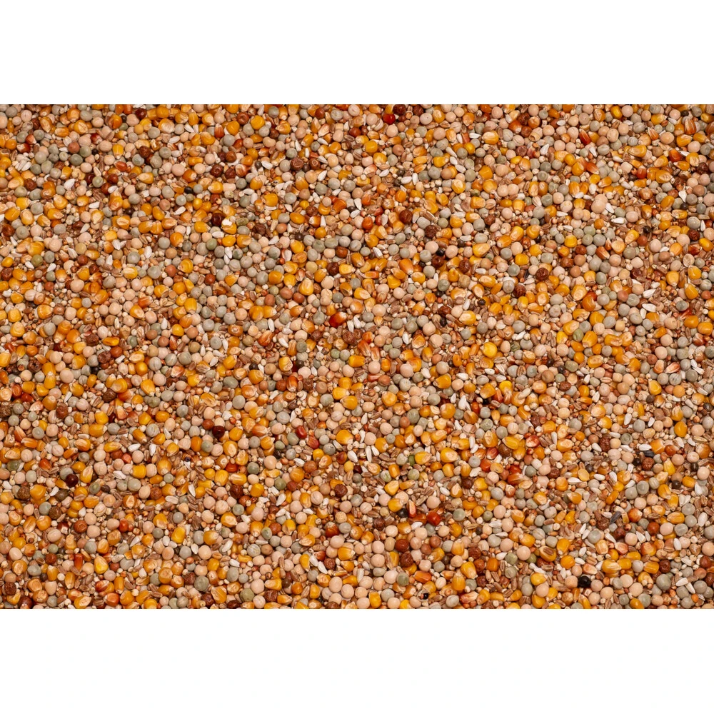 Beyers Original Kweek 4 Beyers Original Kweek - Afbeelding 2