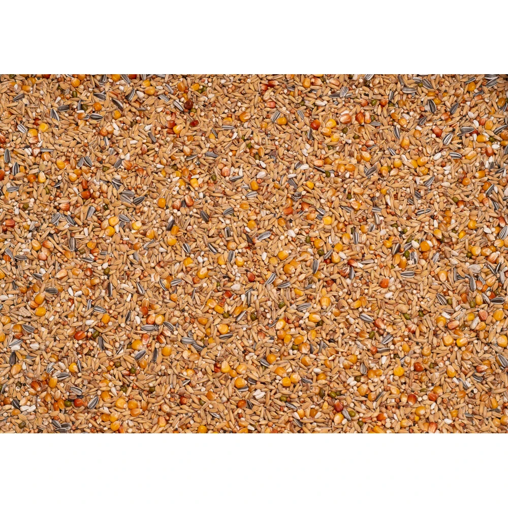 Beyers Original Rust- Winter 4 Beyers Original Rust- Winter - Afbeelding 2