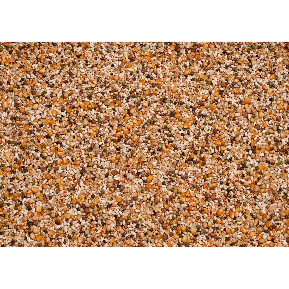 Beyers Premium Jan Keen Superlight 4 Beyers Premium Jan Keen Superlight - Afbeelding 2