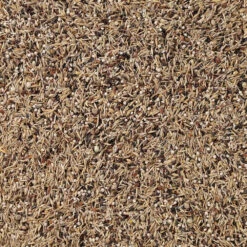 Deli Nature Sijsjes Nummer 49 5 Deli Nature Sijsjes Nummer 49 -Beeztees Winkel 1007342 2