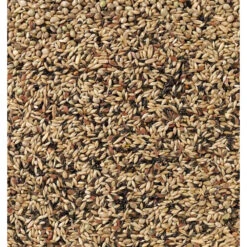 Deli Nature Kweek Zonder Raapzaad Kanarie Nummer 80 5 Deli Nature Kweek Zonder Raapzaad Kanarie Nummer 80 -Beeztees Winkel 1007365 2