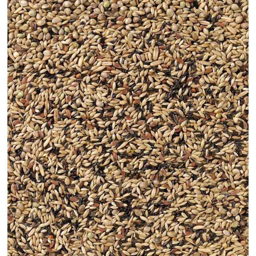 Deli Nature Kweek Zonder Raapzaad Kanarie Nummer 80 4 Deli Nature Kweek Zonder Raapzaad Kanarie Nummer 80 - Afbeelding 2