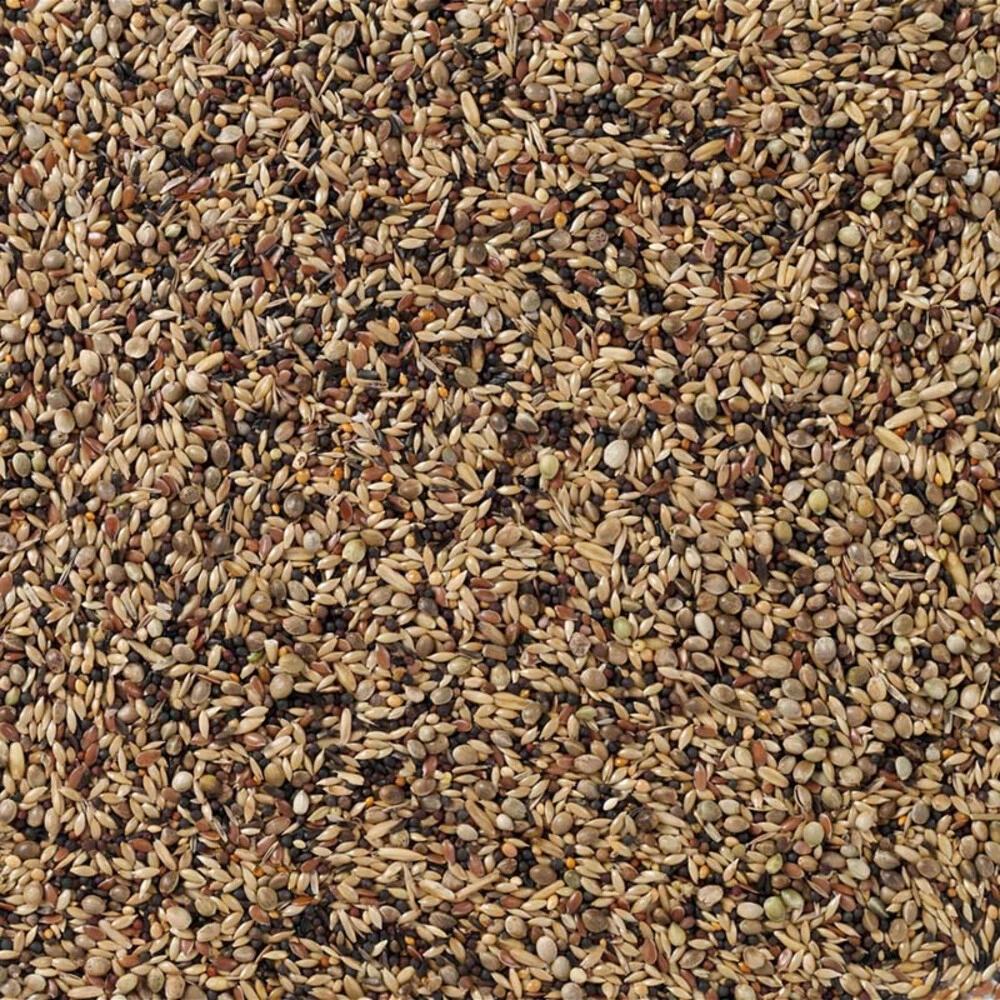 Deli Nature Europese Vogels Nummer 91 4 Deli Nature Europese Vogels Nummer 91 - Afbeelding 2