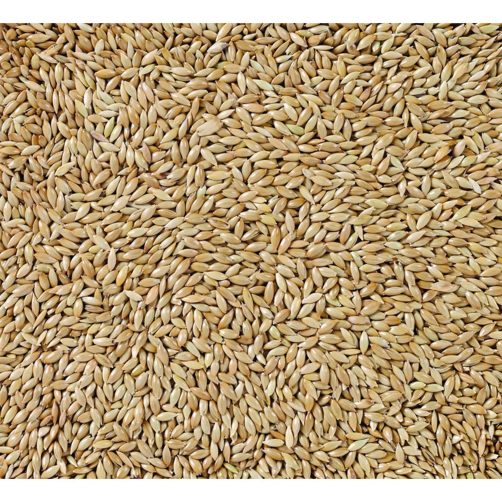 Deli Nature Witzaad Extra 86 4 Deli Nature Witzaad Extra 86 - Afbeelding 2