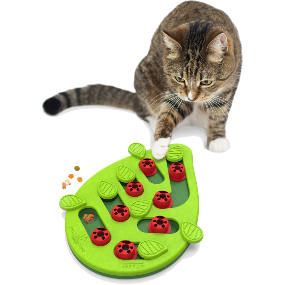 Nina Ottosson Kattenspel Puzzle & Play Buggin Out 6 Nina Ottosson Kattenspel Puzzle & Play Buggin Out - Afbeelding 4