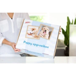 Prins Opgroeibox Protection Croque Junior -Beeztees Winkel 1016887 3