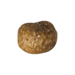 Prins VitalCare Protection Adult Fit Kattenvoer -Beeztees Winkel 1016891 3