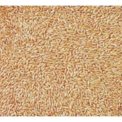 Deli Nature Witzaad - Kanariezaad -Beeztees Winkel 1017067 2