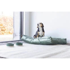 Designed By Lotte Ligkussen Fluweel Nalino Groen 10 Designed By Lotte Ligkussen Fluweel Nalino Groen -Beeztees Winkel 1017101 4