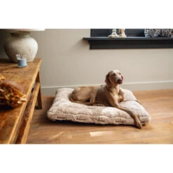 Beeztees Winkel -Beeztees Winkel 1017105 2