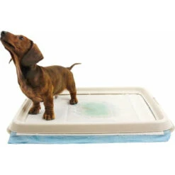 EasyPets Padhouder 65 X 65 Cm 5 EasyPets Padhouder 65 X 65 Cm -Beeztees Winkel 1019108 2