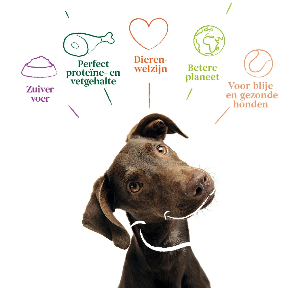 Yarrah Bio Hondenvoer Graanvrij Kip - Vis 6 Yarrah Bio Hondenvoer Graanvrij Kip - Vis - Afbeelding 4