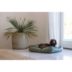 Designed By Lotte Ligkussen Nalino Hond Groen 12 Designed By Lotte Ligkussen Nalino Hond Groen -Beeztees Winkel 1031626 5