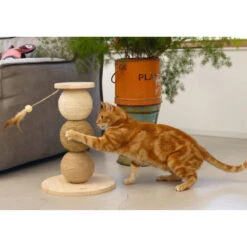 Designed By Lotte Krabbollen Hout Elio 11 Designed By Lotte Krabbollen Hout Elio -Beeztees Winkel 1031633 4