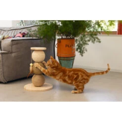 Designed By Lotte Krabbollen Hout Elio 13 Designed By Lotte Krabbollen Hout Elio -Beeztees Winkel 1031633 6