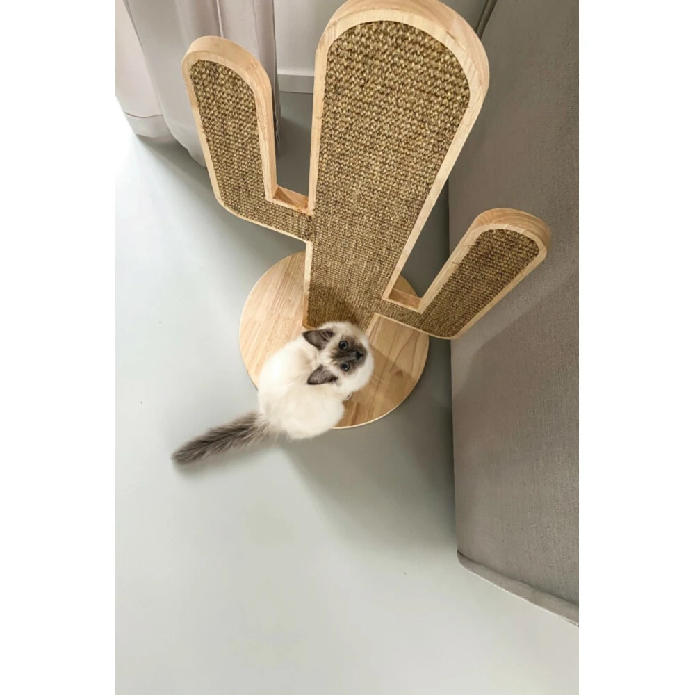 Designed By Lotte Krabpaal Hout Cactus Oze 5 Designed By Lotte Krabpaal Hout Cactus Oze - Afbeelding 3