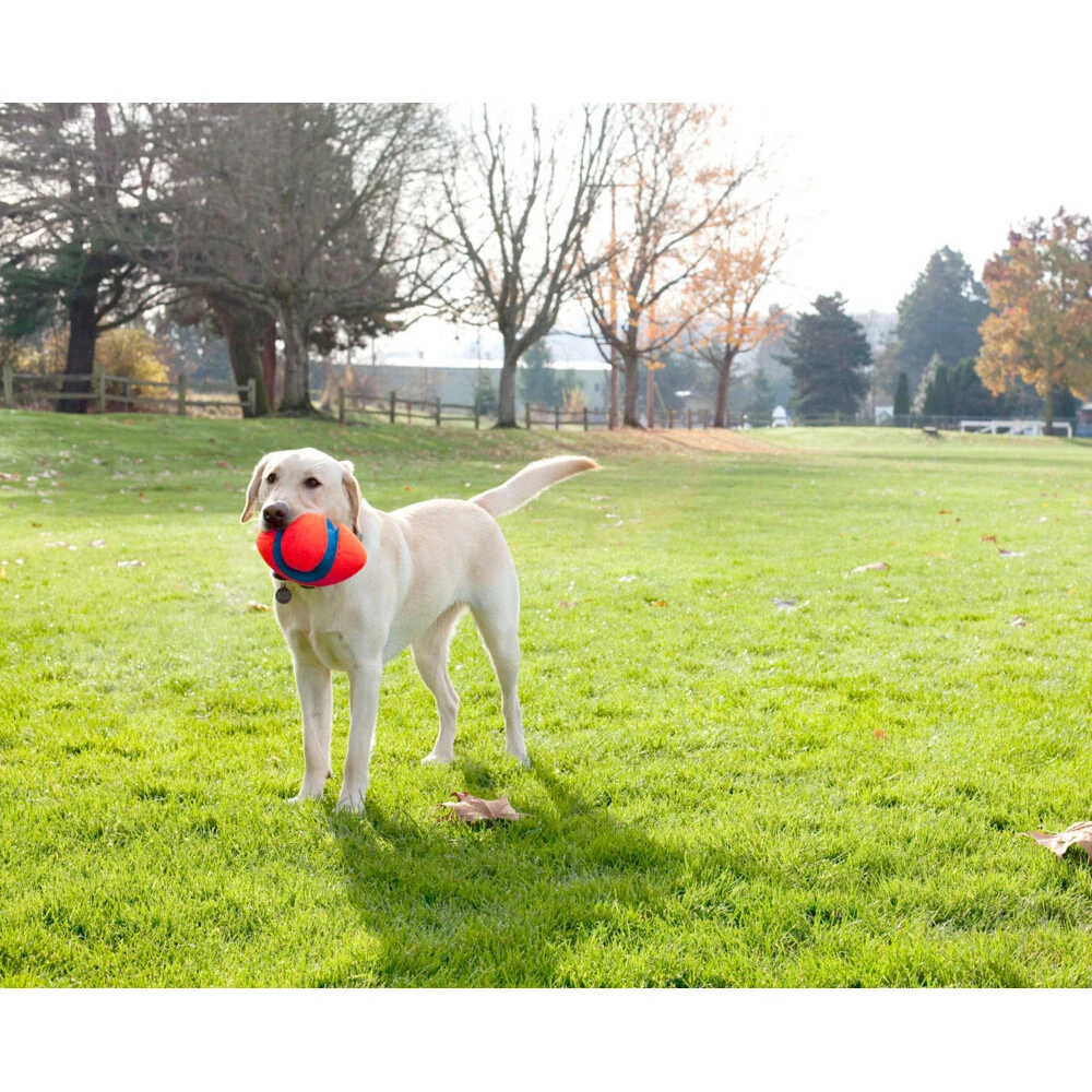 Chuckit! Chuckit Fumble Fetch Small 4 Chuckit! Chuckit Fumble Fetch Small - Afbeelding 2