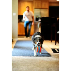 Chuckit! Chuckit Indoor Roller -Beeztees Winkel 1033094 3