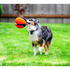 Chuckit! Chuckit Kick Fetch Small 9 Chuckit! Chuckit Kick Fetch Small -Beeztees Winkel 1033097 4