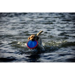 Chuckit! Chuckit Paraflight Large 9 Chuckit! Chuckit Paraflight Large -Beeztees Winkel 1033098 4