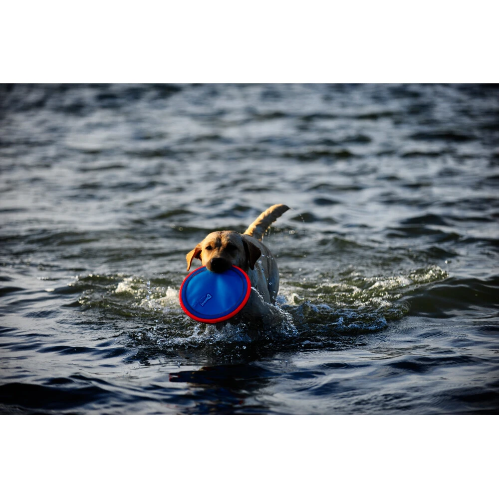 Chuckit! Chuckit Paraflight Large 6 Chuckit! Chuckit Paraflight Large - Afbeelding 4