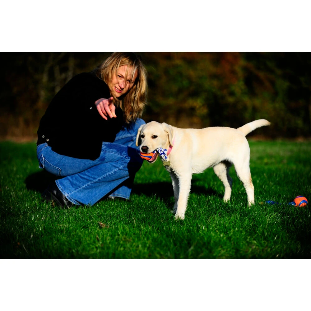 Chuckit! Chuckit Ultra Toss Medium 6 Chuckit! Chuckit Ultra Toss Medium - Afbeelding 4