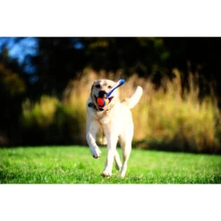 Chuckit! Chuckit Ultra Tug Large -Beeztees Winkel 1033119 3