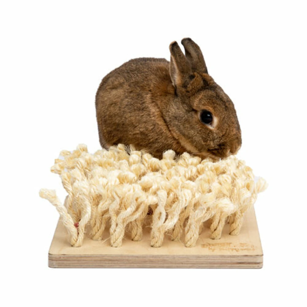 Bunny Nature Snuffelbord 24 X 9 X 24 Cm 4 Bunny Nature Snuffelbord 24 X 9 X 24 Cm - Afbeelding 2