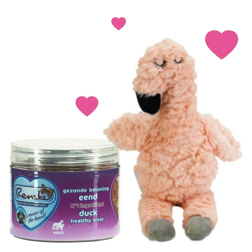 Verras Je Hond Pakket 3 Verras Je Hond Pakket