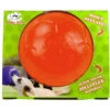 Jolly Pets Soccer Ball Oranje 1 Jolly Pets Soccer Ball Oranje -Beeztees Winkel 1039152