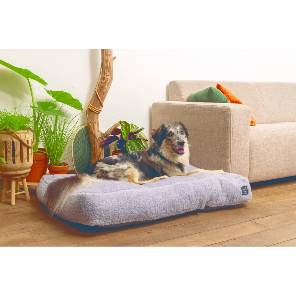 Beeztees Minus One Ligkussen Don Lichtgrijs 4 Beeztees Minus One Ligkussen Don Lichtgrijs - Afbeelding 2