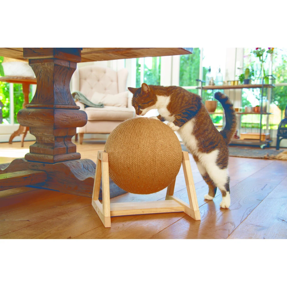 Designed By Lotte Krabbol Op Voet Xem 4 Designed By Lotte Krabbol Op Voet Xem - Afbeelding 2