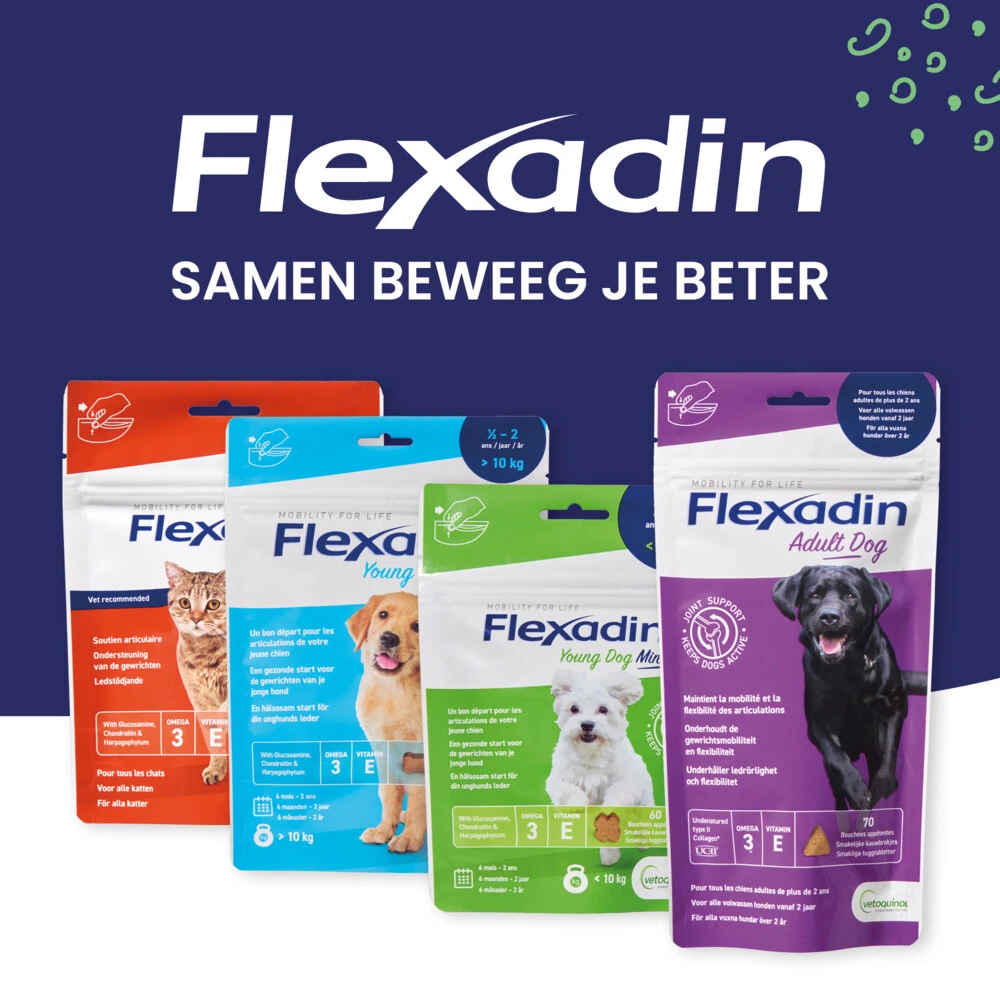 Flexadin Cat Kauwbrokjes 5 Flexadin Cat Kauwbrokjes - Afbeelding 3