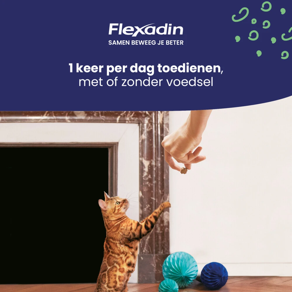 Flexadin Cat Kauwbrokjes 6 Flexadin Cat Kauwbrokjes - Afbeelding 4