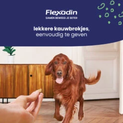 Flexadin Adult Dog Kauwbrokjes -Beeztees Winkel 1054025 4
