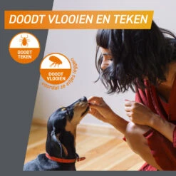 Frontpro Hond M 4-10 Kg -Beeztees Winkel 1057966 4