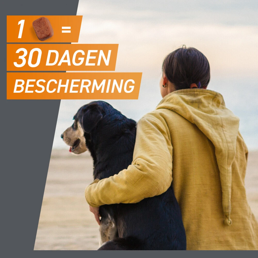 Frontpro Hond L 10-25 Kg 4 Frontpro Hond L 10-25 Kg - Afbeelding 2