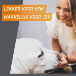 Frontpro Hond XL 25-50 Kg -Beeztees Winkel 1057968 5