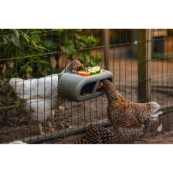 Beeztees Voerbak Voor Kippen Grijs -Beeztees Winkel 1059398 5