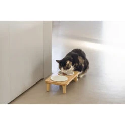 Designed By Lotte Dinerset Kat Hout Djeha 11 Designed By Lotte Dinerset Kat Hout Djeha -Beeztees Winkel 1070414 5